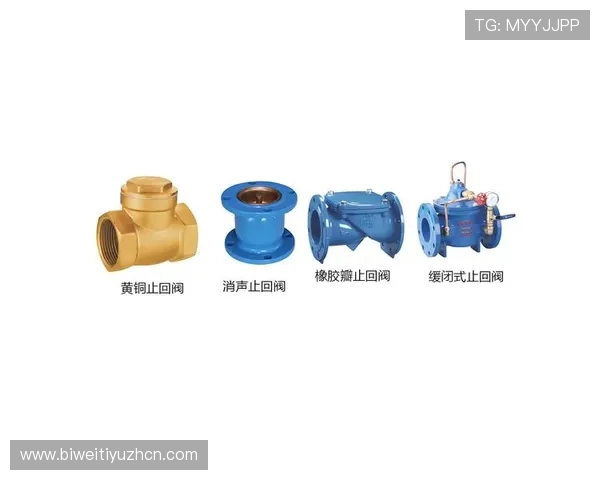 kp体育平台的客户服务与技术支持体系，确保用户在使用过程中获得及时帮助