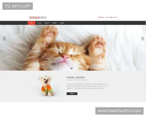 ob体育app官方最新版下载安装指南帮助玩家轻松注册账号实现畅快体育赛事体验