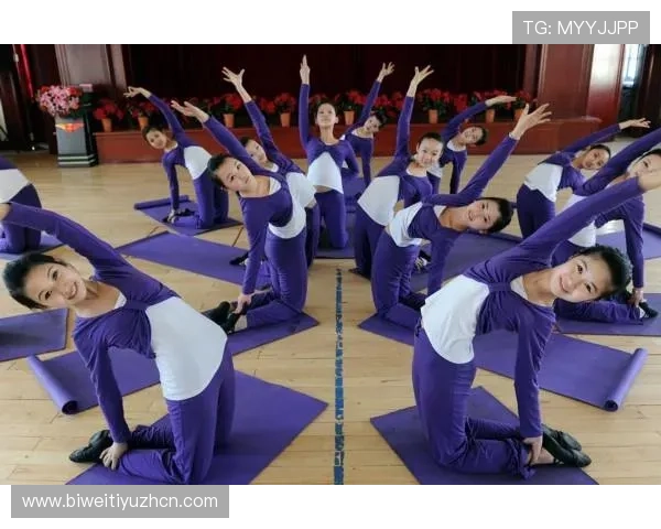 万家乐体育：全面解析平台提供的专业运动训练课程与指导